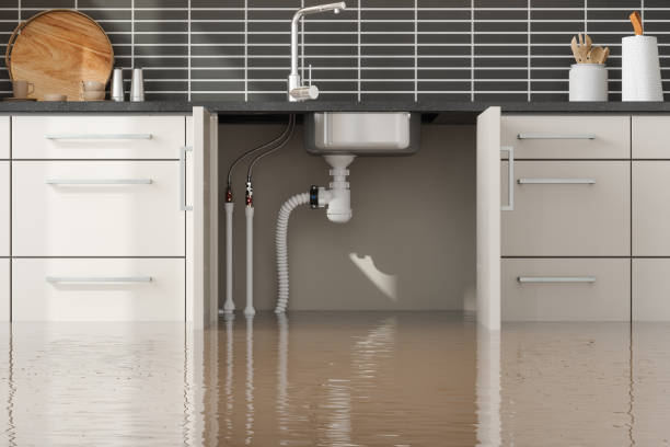 Best Residential water damage restoration  in Sellersburg, IN